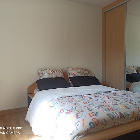 Super Appartement Avec Terasse Bischheim Εξωτερικό φωτογραφία