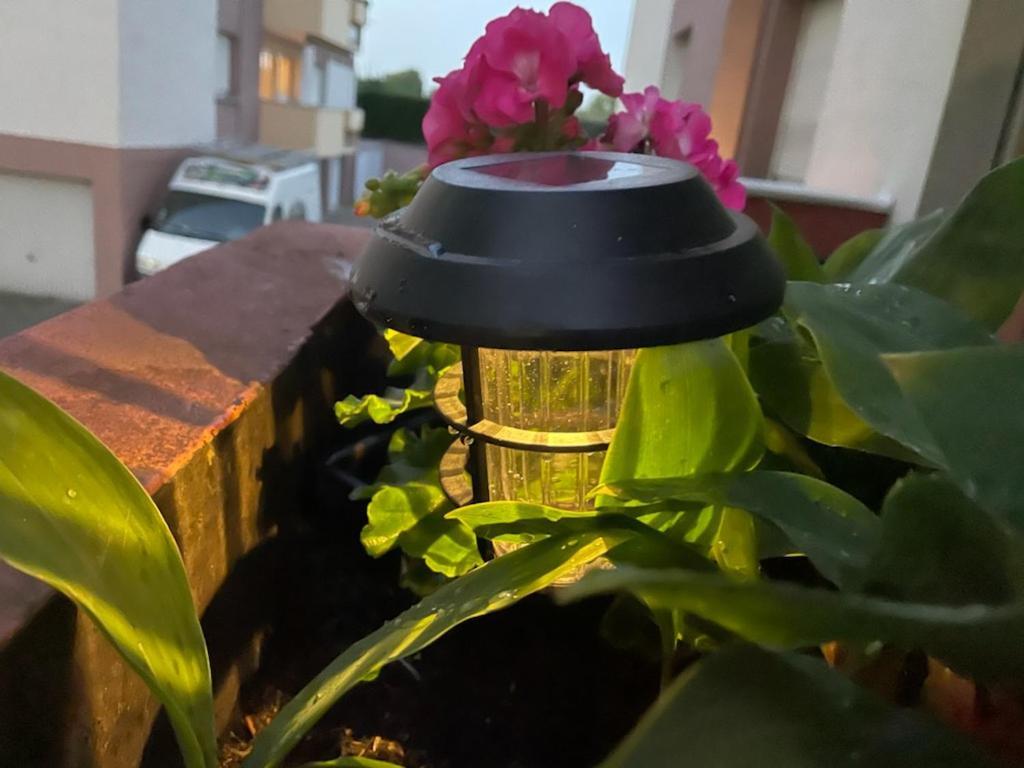 Super Appartement Avec Terasse Bischheim Εξωτερικό φωτογραφία